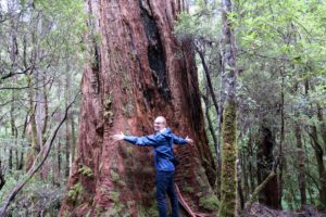  Tasmania: Hobart and Bruny Island