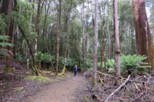  Tasmania: Hobart and Bruny Island