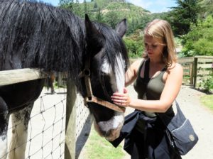  Wellington: Wind, Wildlife, & Weta Cave