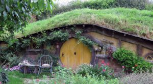  Hobbitses in Matamata