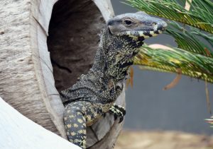  Billabong Sanctuary Photo Gallery