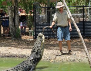  Billabong Sanctuary Photo Gallery