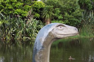  All About Auckland