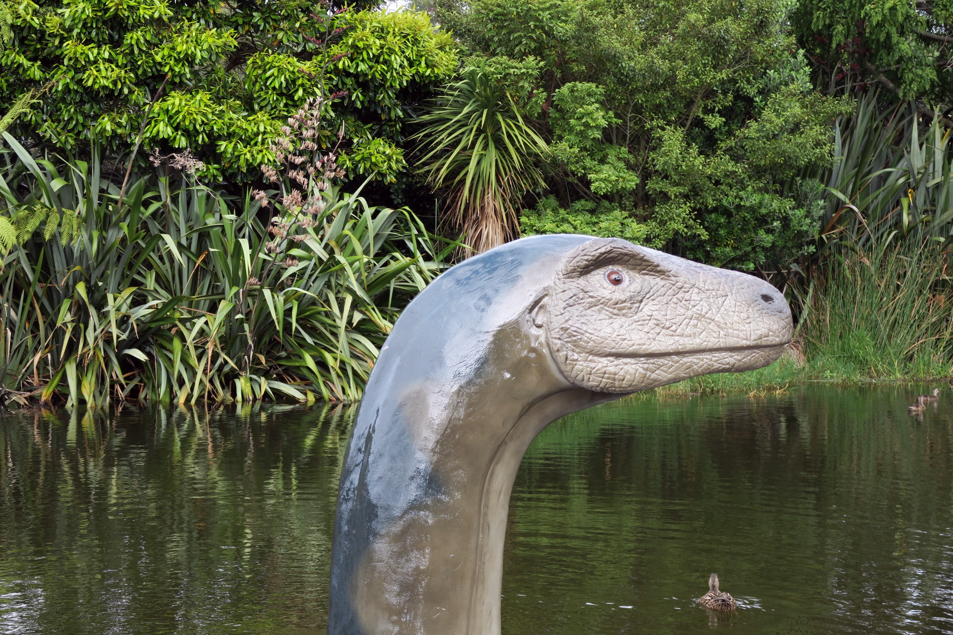 Nessie! Auckland Botanic Gardens