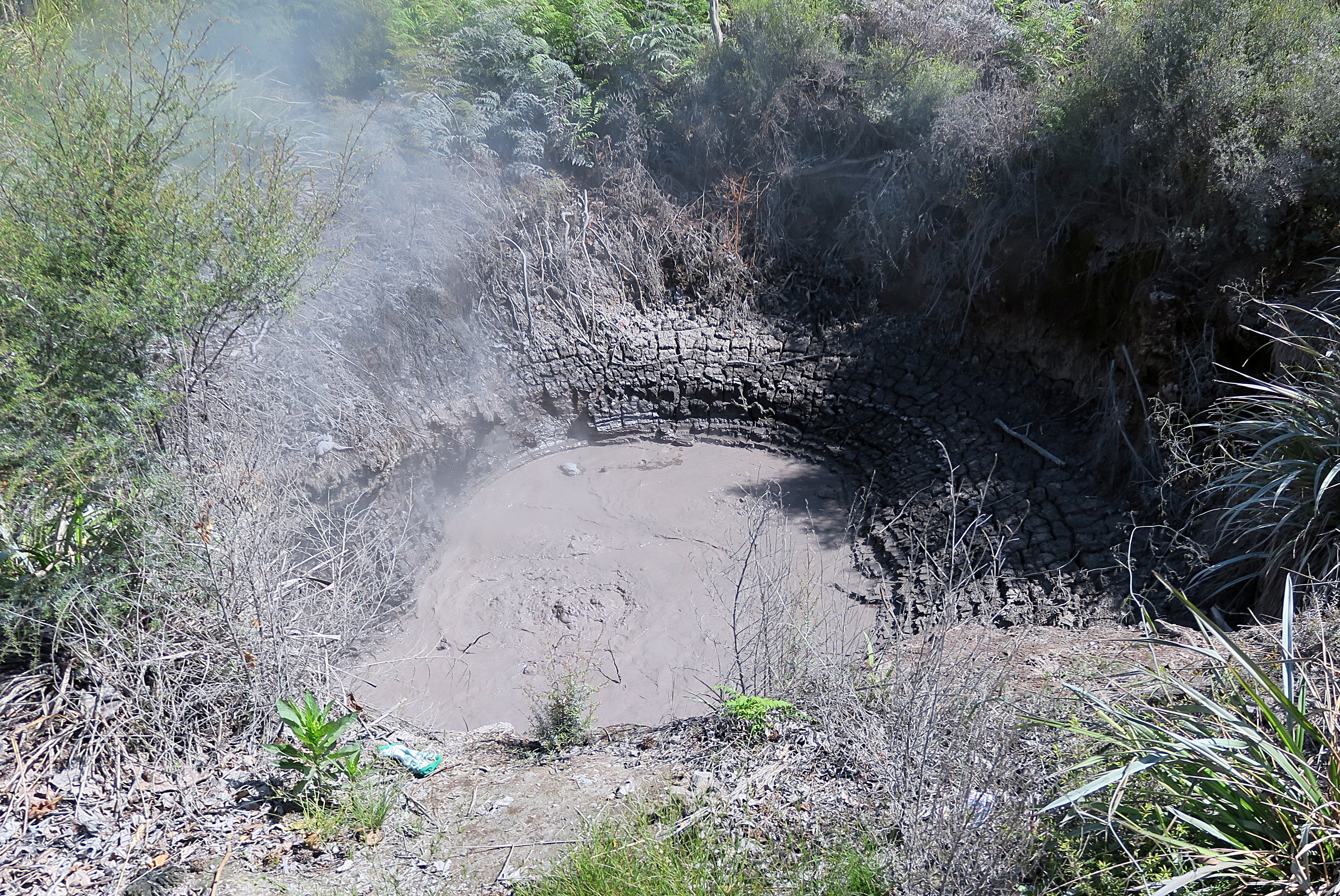 Boiling Mud at Kuirau Park