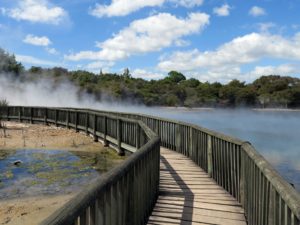  Our Adventures in Tauranga and Rotorua