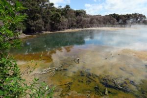  Our Adventures in Tauranga and Rotorua
