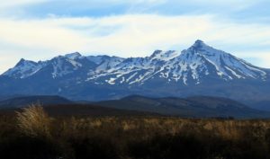  Taupo: Lakes, Waterfalls, & Tui