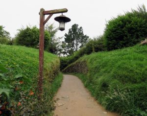  Hobbitses in Matamata