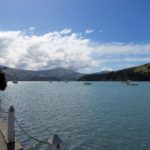  South Island: Maruia, Christchurch, & Akaroa