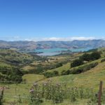  South Island: Maruia, Christchurch, & Akaroa