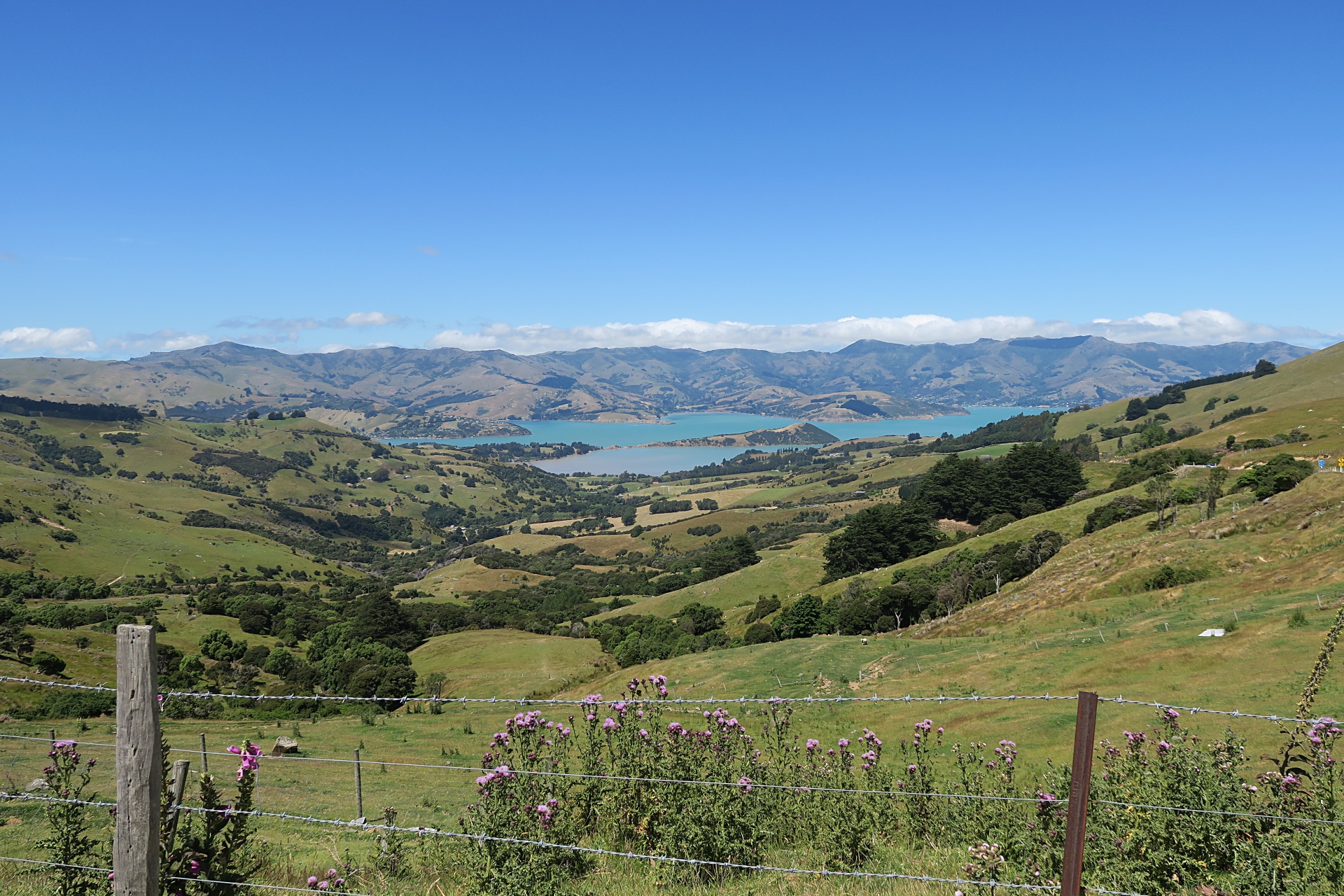 Stunning View of the Bay on the drive to Akaroa