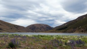  That Time We Went to a Glacier