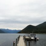  South Island: Maruia, Christchurch, & Akaroa