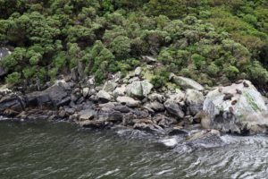  Te Anau & The 8th Wonder of the World