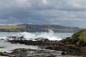PorpoiseBay1-300x200 Invercargill: Penguins, Waterfalls, & Really Old Trees