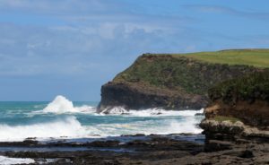 PorpoiseBay2-300x184 Invercargill: Penguins, Waterfalls, & Really Old Trees