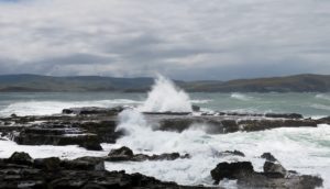  Invercargill: Penguins, Waterfalls, & Really Old Trees