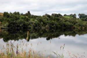 Reflectionpicpond-300x200 Te Anau & The 8th Wonder of the World