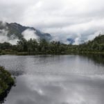  South Island: Maruia, Christchurch, & Akaroa