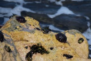  Volcanic Adventures on the Big Island
