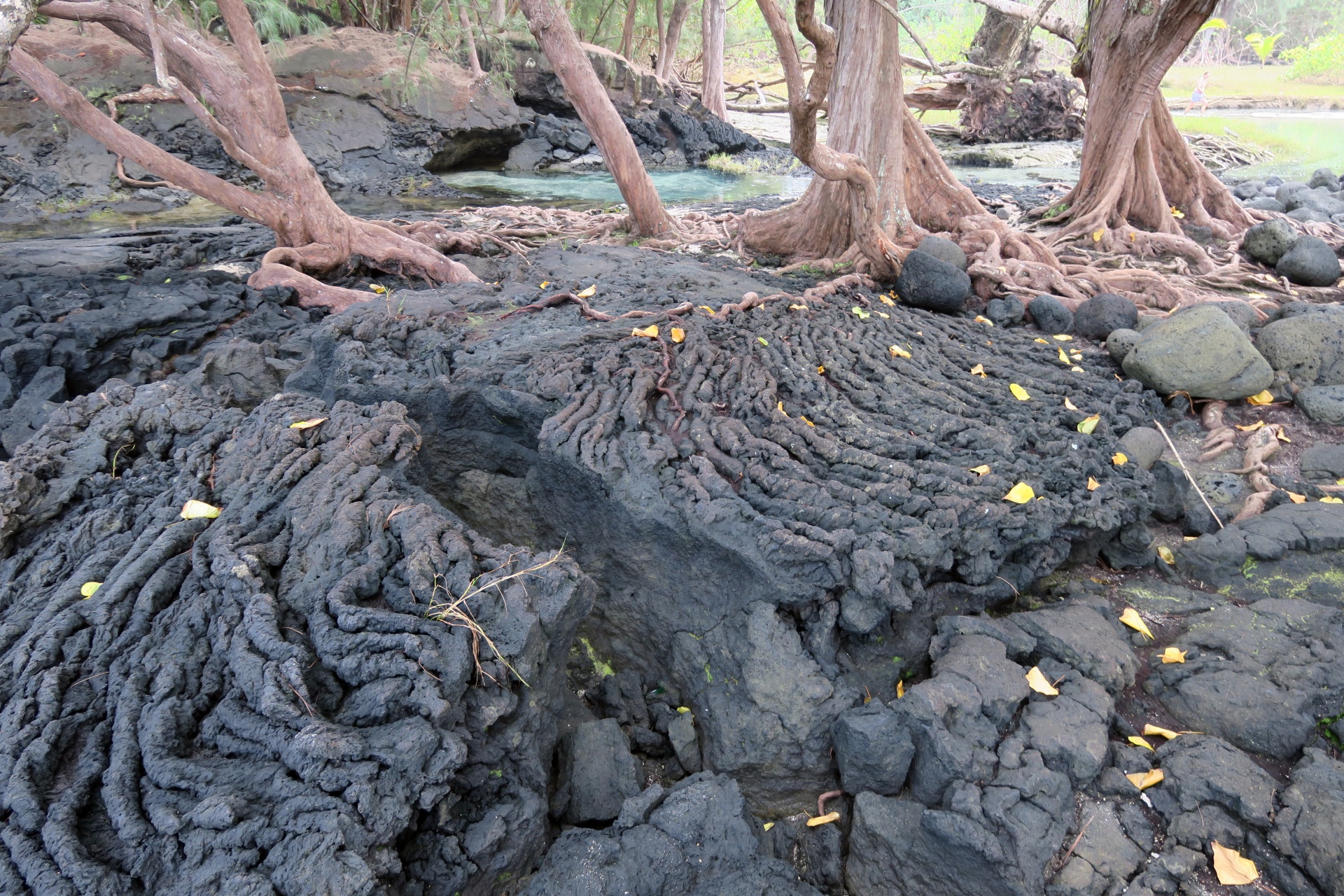 Interesting Rock Formations from Lava at Richardson Ocean Park