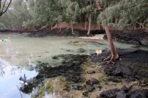  Volcanic Adventures on the Big Island
