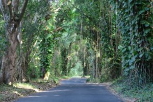  Volcanic Adventures on the Big Island