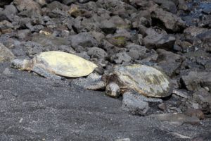  Volcanic Adventures on the Big Island