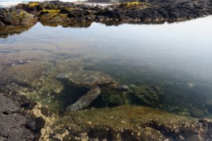  Volcanic Adventures on the Big Island