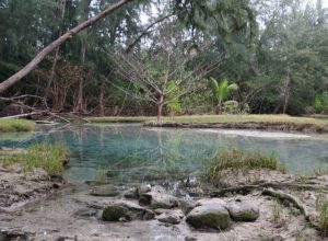  Volcanic Adventures on the Big Island